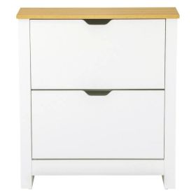 Shoe Storage Cabinet with 2 Flip Drawers and Adjustable Shelves for 6-12 Pairs of Shoes, White (Option: White)
